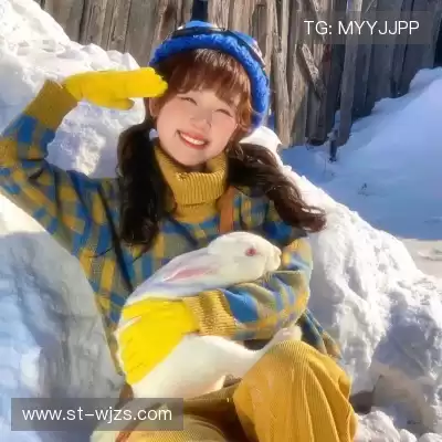 凤鲁庄